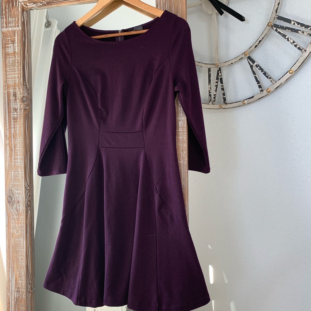 The Limited Plum Skater Dress